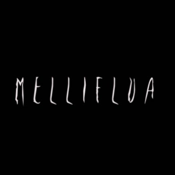 Melliflua Borella