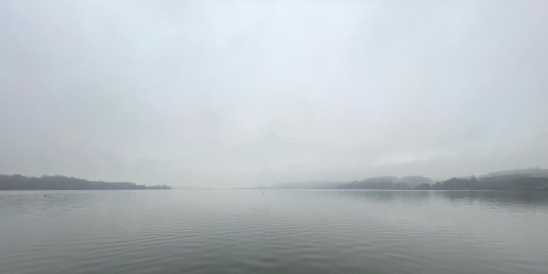 Aurora De Juliis's cover