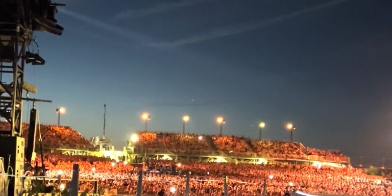 sarah signorile's cover