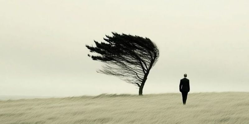 gabriele calamaro's cover