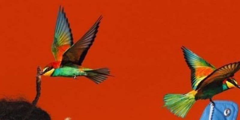 Cover di antonio bongiorno