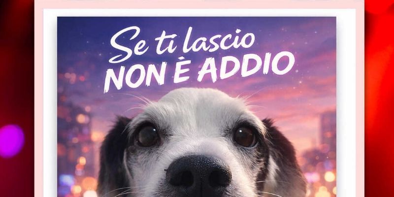 Stefano Muzio's cover