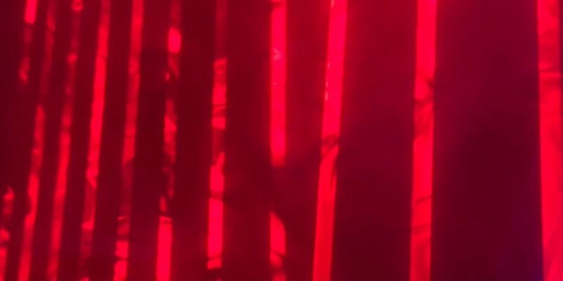 Giotto Orsini's cover