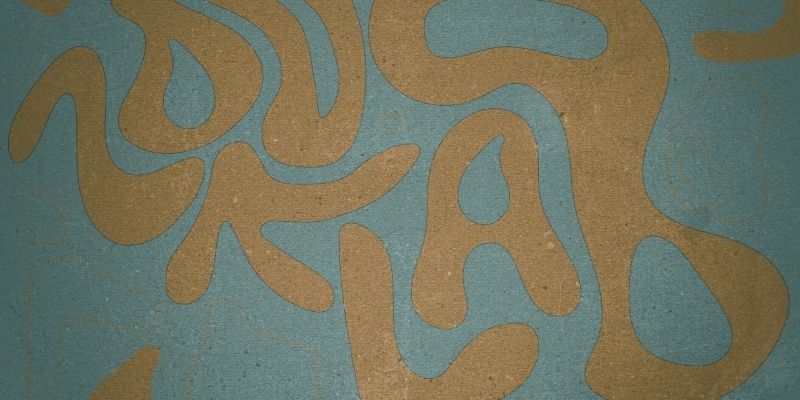 Dunk Lab Studio's cover