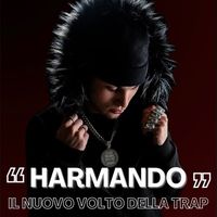 Harmando ⭐️