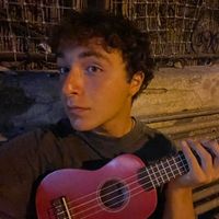 chicco