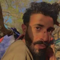alireza nicxo